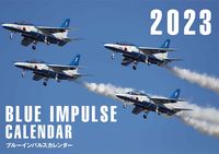 Load image into Gallery viewer, #GWalk #23BlueImpulseCalendar