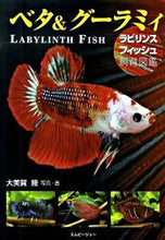 画像をギャラリービューアに読み込む, #大美賀 隆 写真・著 #ベタ&グーラミィ~ラビリンスフィッシュ飼 オオミカタカシ :9784904837023