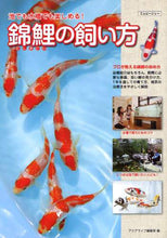 画像をギャラリービューアに読み込む, アクアライフ集部 / 池でも水槽でも楽しめる!錦鯉の飼い方
