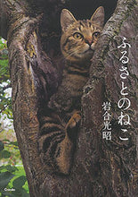 画像をギャラリービューアに読み込む, #岩合 光昭 #ふるさとのねこ イワゴウミツアキ | Mitsuaki Iwago :9784904845868