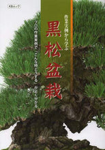 画像をギャラリービューアに読み込む, 近代出版(京都 / 作業実例から学ぶ黒松盆栽プロの作業実