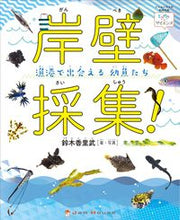 画像をギャラリービューアに読み込む, #岸壁採集! 漁港で出会える幼魚たち :9784906768813