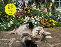 画像をギャラリービューアに読み込む, #カレンダー ’22 岩合光昭 ねこ :9784909532602