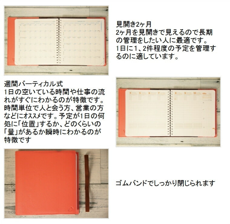 送料無料 【廃版商品数量限定】 QUOVADIS ｸｵﾊﾞﾃﾞｨｽ 14年12月始まり手帳リングタイプ ｸｵﾊﾞﾃﾞｨｽ(ｴｸｾﾞｸﾃｨﾌﾞ)正方形 ｸｫｳﾞｧﾃﾞｨｽ　廃版 数量限定 手帳ｶﾊﾞｰとしてお使いください 訳あり商品 :4560210462266