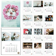 Load image into Gallery viewer, 【3%OFF・期間限定】 GREETINGLIFE ｸﾞﾘｰﾃｨﾝｸﾞﾗｲﾌ 2019年1月始まり 手帳 月間式(月間ﾌﾞﾛｯｸ) B4 米津祐介 どんころり 月の満ち欠け 壁掛け ｶﾚﾝﾀﾞｰ 手帳2019　可愛い　大人かわいい　ｴﾙｺﾐｭｰﾝ　ﾃﾞｨｽﾞﾆｰ　ｽﾇｰﾋﾟｰ　ｲﾗｽﾄ :4560391020347
