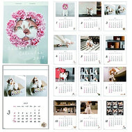 【3%OFF・期間限定】 GREETINGLIFE ｸﾞﾘｰﾃｨﾝｸﾞﾗｲﾌ 2019年1月始まり 手帳 月間式(月間ﾌﾞﾛｯｸ) B4 米津祐介 どんころり 月の満ち欠け 壁掛け ｶﾚﾝﾀﾞｰ 手帳2019　可愛い　大人かわいい　ｴﾙｺﾐｭｰﾝ　ﾃﾞｨｽﾞﾆｰ　ｽﾇｰﾋﾟｰ　ｲﾗｽﾄ :4560391020347