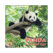Load image into Gallery viewer, 2026 Panda LP Wall Calendar Greeting Life: 4515968339667
