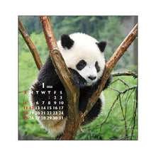 Load image into Gallery viewer, Desktop FD Panda Greeting Life: 4515968339919
