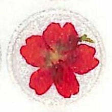 Load image into Gallery viewer, DELFONICS デルフォニックス シール ・ フラワーステッカー レッド シール帳 福袋 スケジュール デコ ステッカー ダイアリー ごほうび 花 アルファベット  スケジュール帳 手帳のタイムキーパー :4516085147777

