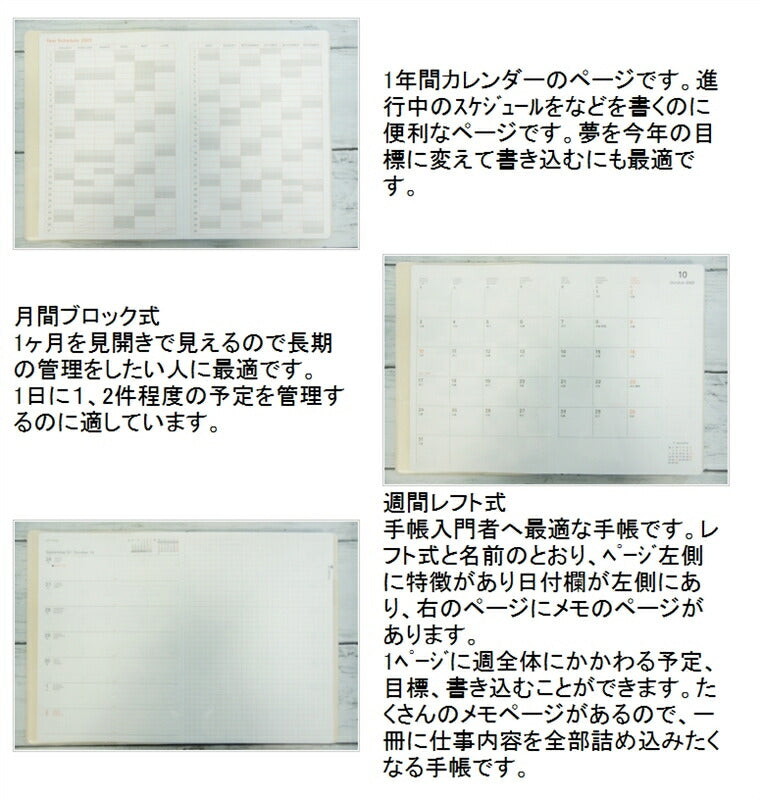 【P10倍★】 手帳 ｽｹｼﾞｭｰﾙ帳 DELFONICS ﾃﾞﾙﾌｫﾆｯｸｽ 2023 年 1月始まり 2022年 10月始まり 週間ﾚﾌﾄ式(ﾎﾘｿﾞﾝﾀﾙ) B6 Asuka Wakida 脇田あすか ﾛﾙﾊﾞｰﾝ 限定 大人かわいい おしゃれ 可愛い 手帳ｶﾊﾞｰ 手帳のﾀｲﾑｷｰﾊﾟｰ :9784820739036