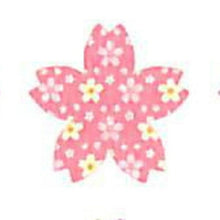 画像をギャラリービューアに読み込む, PINUP ﾋﾟﾝﾅｯﾌﾟ ｼｰﾙ ･ 和風 ｽﾃｯｶ 桜 4 千代紙 ｼｰﾙ帳 福袋 丸 おしゃれ ｱﾙﾊﾞﾑ ﾃﾞｺﾚｰｼｮﾝ ﾊｰﾄ 大量 ｽﾃｯｶｰ ｽﾏﾎ ごほうび 花 かわいい  ｽｹｼﾞｭｰﾙ帳 手帳のﾀｲﾑｷｰﾊﾟｰ :4516670035731
