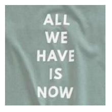Load image into Gallery viewer, ﾌﾟﾚｰﾃｨﾝｸﾞ ﾛｺﾞﾌﾟﾘﾝﾄ ﾁｭﾆｯｸ チュニック Tシャツ ミントグリーン カジュアル フレンチスリーブ スリット入り :4528653850354
