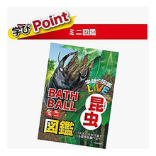 画像をギャラリービューアに読み込む, 学研の図鑑ﾗｲﾌﾞ昆虫ﾊﾞｽﾎﾞｰﾙ
