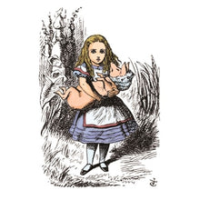 画像をギャラリービューアに読み込む, ＃MB6-ｱﾘｽ 13年10月始まり(2014年1月始まり対応) ｱｰﾃｨﾐｽ :4539818164681
