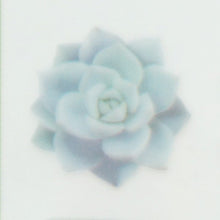 画像をギャラリービューアに読み込む, ＃ｶﾗﾌｨﾙﾑｼｰﾙｾｰｼﾞｸﾞﾘｰﾝ --- （株）クーリア クーリア COLORFILM SEAL カラフィルムシール セージグリーン [510511] : Cala film seal green :4550391510511
