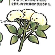 画像をギャラリービューアに読み込む, KAMIO JAPAN ｶﾐｵｼﾞｬﾊﾟﾝ ｼｰﾙ ･ PM大人の図鑑ｼｰﾙ/ﾊｰﾌﾞ ｼｰﾙ帳 福袋 丸 おしゃれ ｱﾙﾊﾞﾑ ﾃﾞｺﾚｰｼｮﾝ ﾊｰﾄ 大量 ｽﾃｯｶｰ ｽﾏﾎ ごほうび 花 かわいい  ｽｹｼﾞｭｰﾙ帳 手帳のﾀｲﾑｷｰﾊﾟｰ :4550432021723

