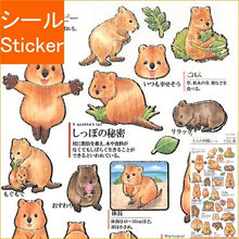 画像をギャラリービューアに読み込む, KAMIO JAPAN ｶﾐｵｼﾞｬﾊﾟﾝ ｼｰﾙ ･ PM大人の図鑑ｼｰﾙ/ｸｱｯｶﾜﾗﾋﾞｰ ｼｰﾙ帳 福袋 丸 おしゃれ ｱﾙﾊﾞﾑ ﾃﾞｺﾚｰｼｮﾝ ﾊｰﾄ 大量 ｽﾃｯｶｰ ｽﾏﾎ ごほうび 花 かわいい  ｽｹｼﾞｭｰﾙ帳 手帳のﾀｲﾑｷｰﾊﾟｰ :4550432021747
