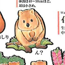 画像をギャラリービューアに読み込む, KAMIO JAPAN ｶﾐｵｼﾞｬﾊﾟﾝ ｼｰﾙ ･ PM大人の図鑑ｼｰﾙ/ｸｱｯｶﾜﾗﾋﾞｰ ｼｰﾙ帳 福袋 丸 おしゃれ ｱﾙﾊﾞﾑ ﾃﾞｺﾚｰｼｮﾝ ﾊｰﾄ 大量 ｽﾃｯｶｰ ｽﾏﾎ ごほうび 花 かわいい  ｽｹｼﾞｭｰﾙ帳 手帳のﾀｲﾑｷｰﾊﾟｰ :4550432021747
