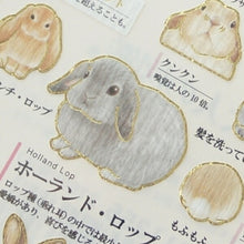 画像をギャラリービューアに読み込む, KAMIO JAPAN ｶﾐｵｼﾞｬﾊﾟﾝ ｼｰﾙ ･ 大人の図鑑ｼｰﾙ ｳｻｷﾞ 兎 動物 ｱﾆﾏﾙ うさぎ  ｼｰﾙ帳 福袋 丸 おしゃれ ｱﾙﾊﾞﾑ ﾃﾞｺﾚｰｼｮﾝ ﾊｰﾄ 大量 ｽﾃｯｶｰ ｽﾏﾎ ごほうび 花 かわいい ｽｹｼﾞｭｰﾙ帳 手帳のﾀｲﾑｷｰﾊﾟｰ :4550432113558
