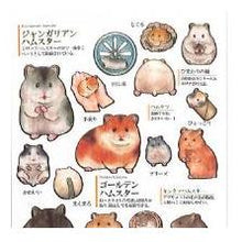 画像をギャラリービューアに読み込む, 4550432245884
