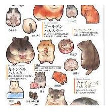 画像をギャラリービューアに読み込む, 4550432245884
