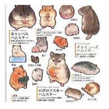 Load image into Gallery viewer, PM 大人の図鑑ｼｰﾙ ﾊﾑｽﾀｰ 癒し系 動物柄 手帳デコ もふもふ ペット好き ほっこり カミオジャパン(Kamiojapan) :4550432245884
