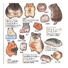 画像をギャラリービューアに読み込む, 4550432245884
