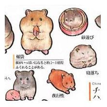 画像をギャラリービューアに読み込む, 4550432245884
