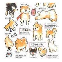 Load image into Gallery viewer, #PM 大人の図鑑ｼｰﾙ 柴犬の気持ち しぐさ 黒柴 白柴 赤柴 プレイバウ しっぽを振る :4550432263178
