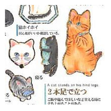 Load image into Gallery viewer, PM 大人の図鑑ｼｰﾙ 猫の気持ち 猫 シール ステッカー 図鑑風 かわいい 猫あるある 黒猫 茶トラ :4550432263185
