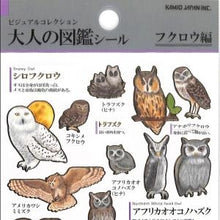 Load image into Gallery viewer, PM 大人の図鑑ｼｰﾙ ﾌｸﾛｳ ステッカー かわいい ふくろう図鑑 デコレーション グレー ブラウン カミオジャパン(Kamiojapan) :4550432263239
