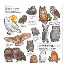 Load image into Gallery viewer, PM 大人の図鑑ｼｰﾙ ﾌｸﾛｳ ステッカー かわいい ふくろう図鑑 デコレーション グレー ブラウン カミオジャパン(Kamiojapan) :4550432263239
