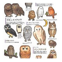 Load image into Gallery viewer, PM 大人の図鑑ｼｰﾙ ﾌｸﾛｳ ステッカー かわいい ふくろう図鑑 デコレーション グレー ブラウン カミオジャパン(Kamiojapan) :4550432263239
