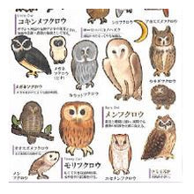 Load image into Gallery viewer, PM 大人の図鑑ｼｰﾙ ﾌｸﾛｳ ステッカー かわいい ふくろう図鑑 デコレーション グレー ブラウン カミオジャパン(Kamiojapan) :4550432263239
