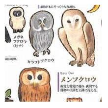 Load image into Gallery viewer, PM 大人の図鑑ｼｰﾙ ﾌｸﾛｳ ステッカー かわいい ふくろう図鑑 デコレーション グレー ブラウン カミオジャパン(Kamiojapan) :4550432263239
