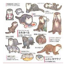 Load image into Gallery viewer, #PM 大人の図鑑ｼｰﾙ ｶﾜｳｿ 動物ステッカー 水辺の動物 コツメカワウソ ビロードカワウソ カミオジャパン(Kamiojapan) :4550432263246
