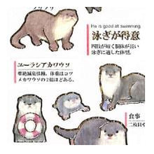 Load image into Gallery viewer, #PM 大人の図鑑ｼｰﾙ ｶﾜｳｿ 動物ステッカー 水辺の動物 コツメカワウソ ビロードカワウソ カミオジャパン(Kamiojapan) :4550432263246
