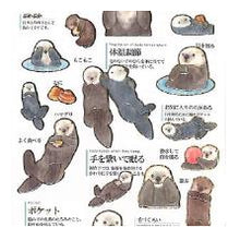 Load image into Gallery viewer, PM大人の図鑑ｼｰﾙ/ﾗｯｺ かわいい 癒し系 海のいきもの 動物図鑑風 手帳デコ グレーカラー 茶色 カミオジャパン(Kamiojapan) :4550432263307
