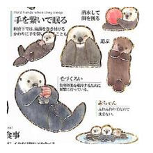 Load image into Gallery viewer, PM大人の図鑑ｼｰﾙ/ﾗｯｺ かわいい 癒し系 海のいきもの 動物図鑑風 手帳デコ グレーカラー 茶色 カミオジャパン(Kamiojapan) :4550432263307
