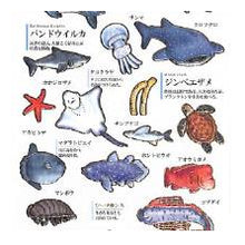 画像をギャラリービューアに読み込む, #PM 大人の図鑑ｼｰﾙ 海洋生物 海の生き物 ステッカー コウテイペンギン ジンベエザメ クマノミ カミオジャパン(Kamiojapan) :4550432263321
