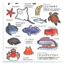 画像をギャラリービューアに読み込む, #PM 大人の図鑑ｼｰﾙ 海洋生物 海の生き物 ステッカー コウテイペンギン ジンベエザメ クマノミ カミオジャパン(Kamiojapan) :4550432263321
