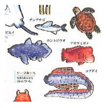 画像をギャラリービューアに読み込む, #PM 大人の図鑑ｼｰﾙ 海洋生物 海の生き物 ステッカー コウテイペンギン ジンベエザメ クマノミ カミオジャパン(Kamiojapan) :4550432263321
