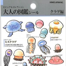 Load image into Gallery viewer, PM 大人の図鑑ｼｰﾙ ｸﾗｹﾞ 海の生き物 ミズクラゲ タコクラゲ ハナガサクラゲ 水彩イラスト --- :4550432263338
