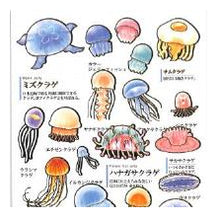 Load image into Gallery viewer, PM 大人の図鑑ｼｰﾙ ｸﾗｹﾞ 海の生き物 ミズクラゲ タコクラゲ ハナガサクラゲ 水彩イラスト --- :4550432263338
