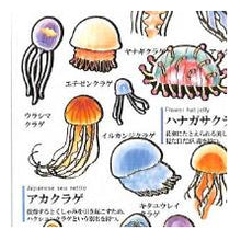 Load image into Gallery viewer, PM 大人の図鑑ｼｰﾙ ｸﾗｹﾞ 海の生き物 ミズクラゲ タコクラゲ ハナガサクラゲ 水彩イラスト --- :4550432263338
