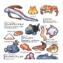 Load image into Gallery viewer, PM 大人の図鑑ｼｰﾙ 深海魚 海の生き物 おもしろ文具 リュウグウノツカイ ダイオウイカ メンダコ カミオジャパン(Kamiojapan) :4550432263345
