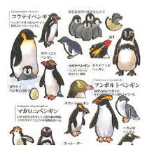 Load image into Gallery viewer, #PM 大人の図鑑ｼｰﾙ ﾍﾟﾝｷﾞﾝ コレクション コウテイペンギン キングペンギン フンボルトペンギン :4550432263369
