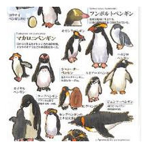 Load image into Gallery viewer, #PM 大人の図鑑ｼｰﾙ ﾍﾟﾝｷﾞﾝ コレクション コウテイペンギン キングペンギン フンボルトペンギン :4550432263369
