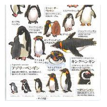 Load image into Gallery viewer, #PM 大人の図鑑ｼｰﾙ ﾍﾟﾝｷﾞﾝ コレクション コウテイペンギン キングペンギン フンボルトペンギン :4550432263369

