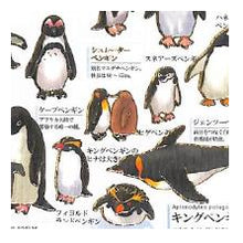 Load image into Gallery viewer, #PM 大人の図鑑ｼｰﾙ ﾍﾟﾝｷﾞﾝ コレクション コウテイペンギン キングペンギン フンボルトペンギン :4550432263369

